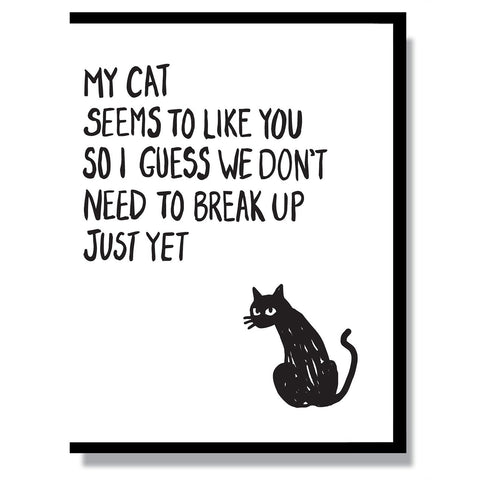 Cat Likes You