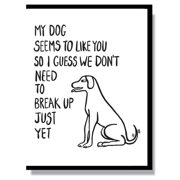Dog Likes You