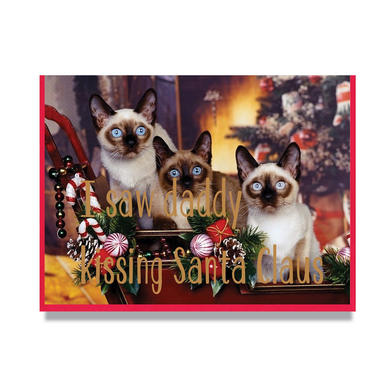 I Saw Daddy Kissing Santa Claus