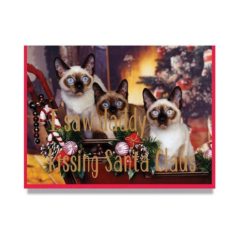 I Saw Daddy Kissing Santa Claus