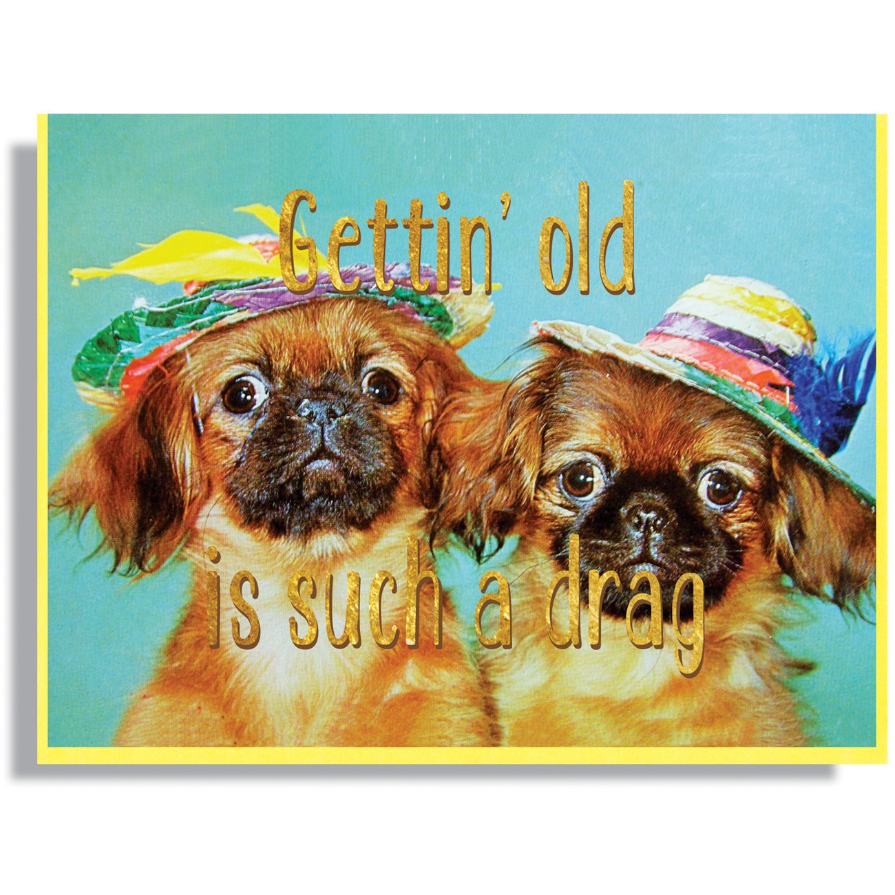 Gettin' Old Is Such A Drag