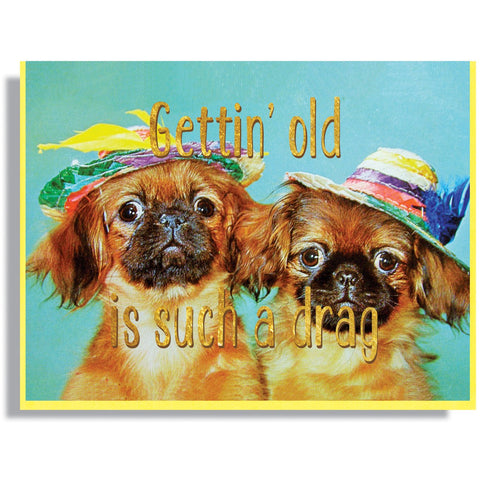Gettin' Old Is Such A Drag