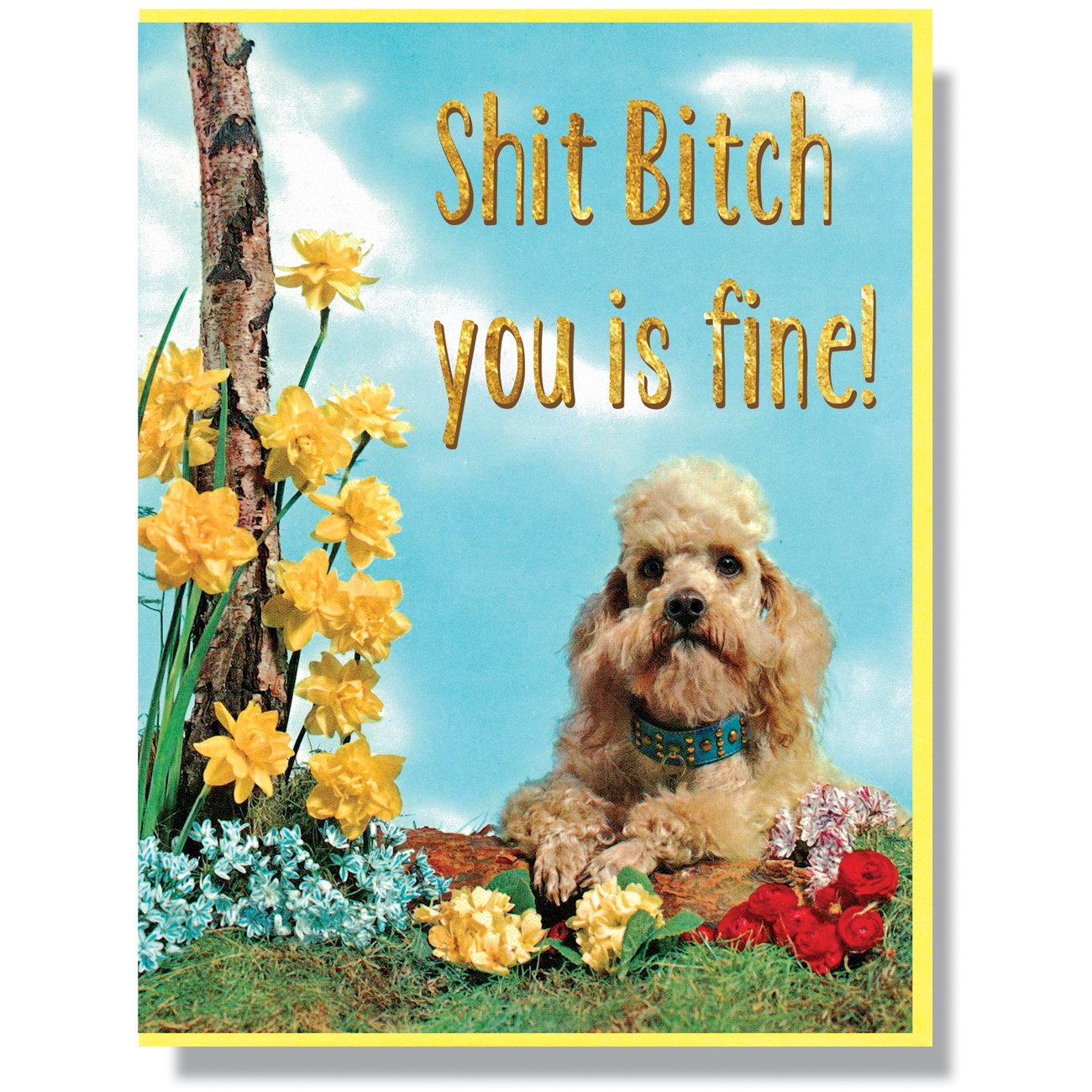 Shit Bitch, You Is Fine