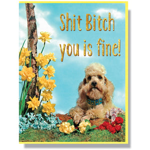 Shit Bitch, You Is Fine
