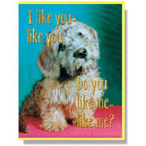 Do You Like-Like Me