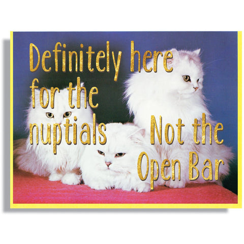 Not Here For The Open Bar