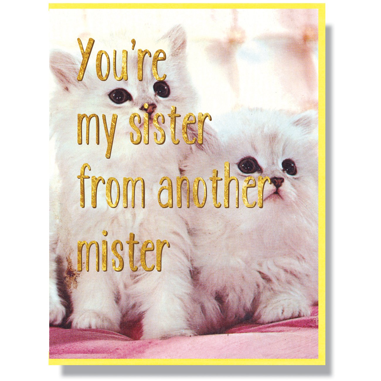 Sister From Another Mister