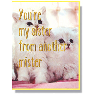 Sister From Another Mister