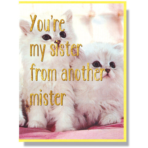 Sister From Another Mister