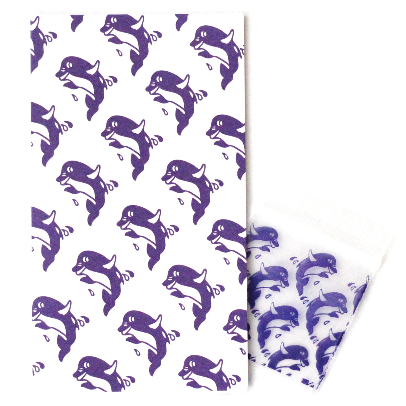 Dolphin Mini Enclosure Card with Matching Dime Bag